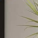 Libreria ad Arco a 5 Ripiani con Mobiletto Opzionale – Bianco Antico / Nero / Grigio / Rosso Brunastro / Legno, Stile Base o a 2 Ante