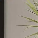 Libreria ad Arco a 5 Ripiani con Mobiletto Opzionale – Bianco Antico / Nero / Grigio / Rosso Brunastro / Legno, Stile Base o a 2 Ante